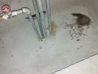 平潭卫生间测漏水价格明细