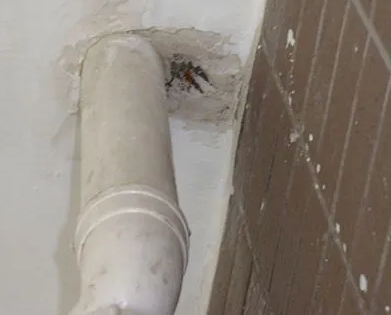 平潭漏水检测哪家好